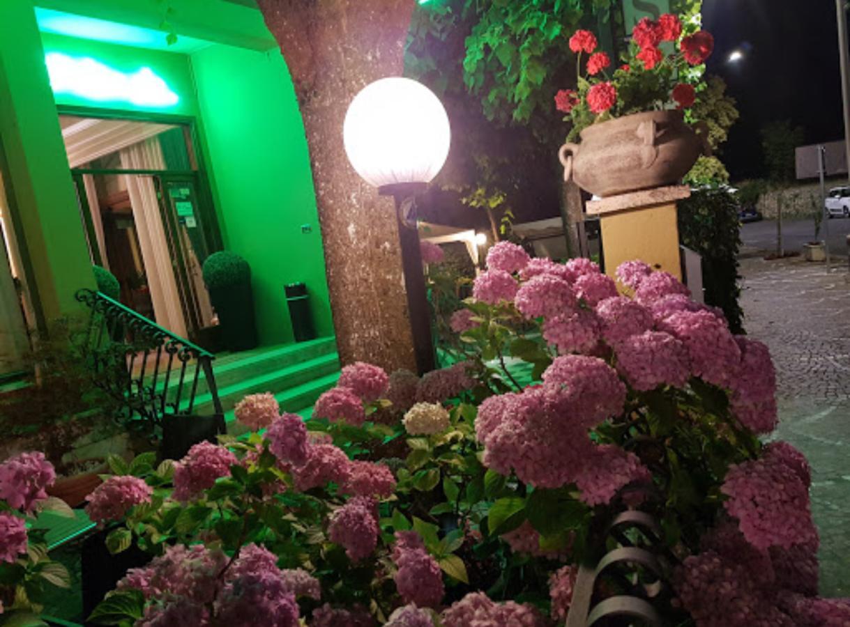 פיוג'י Hotel Delle Ortensie מראה חיצוני תמונה